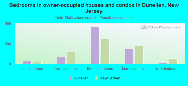 Bedrooms in owner-occupied houses and condos in Dunellen, New Jersey