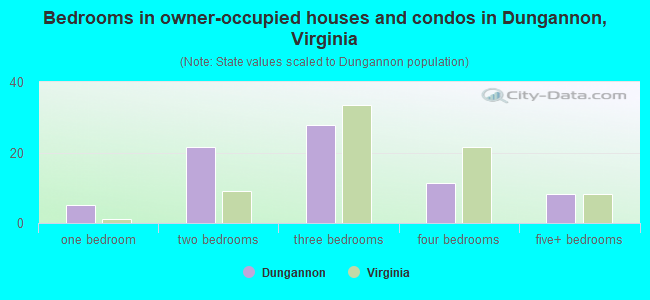 Bedrooms in owner-occupied houses and condos in Dungannon, Virginia