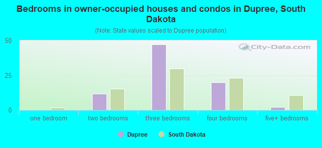 Bedrooms in owner-occupied houses and condos in Dupree, South Dakota