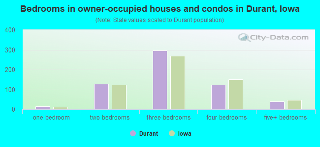 Bedrooms in owner-occupied houses and condos in Durant, Iowa