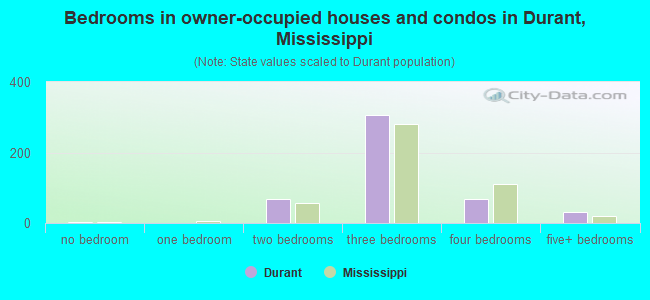 Bedrooms in owner-occupied houses and condos in Durant, Mississippi