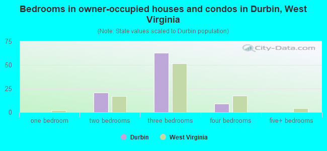 Bedrooms in owner-occupied houses and condos in Durbin, West Virginia