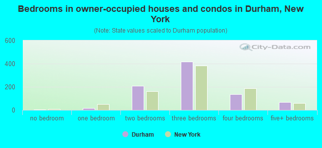 Bedrooms in owner-occupied houses and condos in Durham, New York