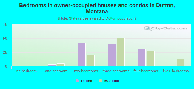 Bedrooms in owner-occupied houses and condos in Dutton, Montana