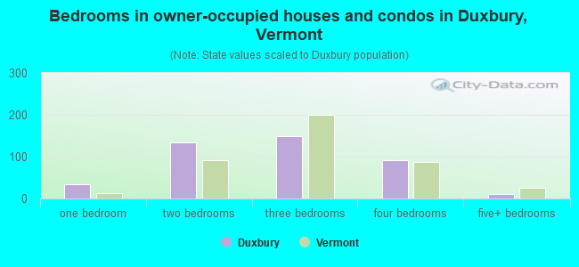 Bedrooms in owner-occupied houses and condos in Duxbury, Vermont