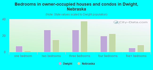 Bedrooms in owner-occupied houses and condos in Dwight, Nebraska