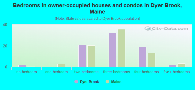 Bedrooms in owner-occupied houses and condos in Dyer Brook, Maine