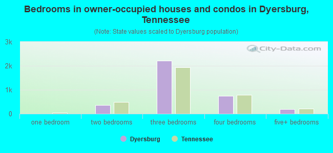 Bedrooms in owner-occupied houses and condos in Dyersburg, Tennessee