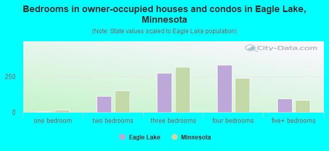 Bedrooms in owner-occupied houses and condos in Eagle Lake, Minnesota