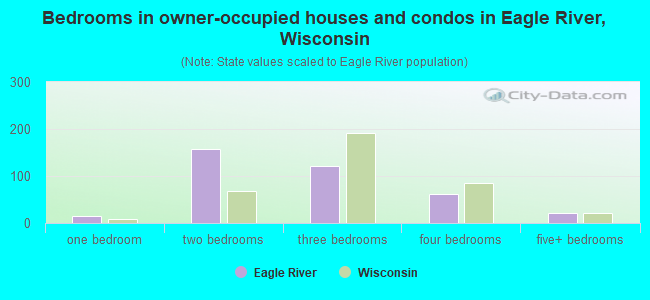 Bedrooms in owner-occupied houses and condos in Eagle River, Wisconsin