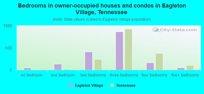 Bedrooms in owner-occupied houses and condos in Eagleton Village, Tennessee