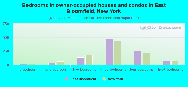 Bedrooms in owner-occupied houses and condos in East Bloomfield, New York