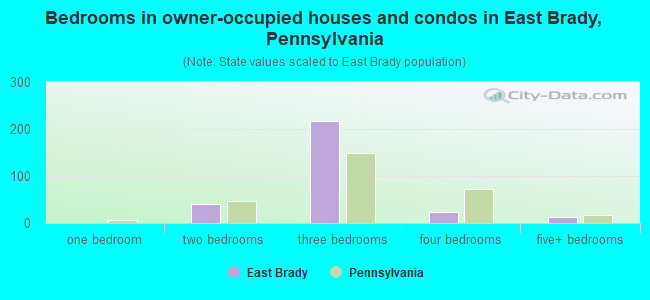 Bedrooms in owner-occupied houses and condos in East Brady, Pennsylvania