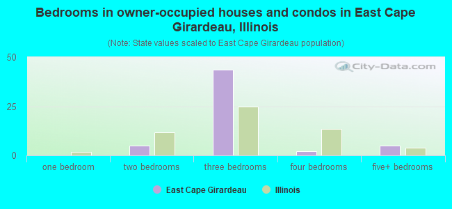 Bedrooms in owner-occupied houses and condos in East Cape Girardeau, Illinois