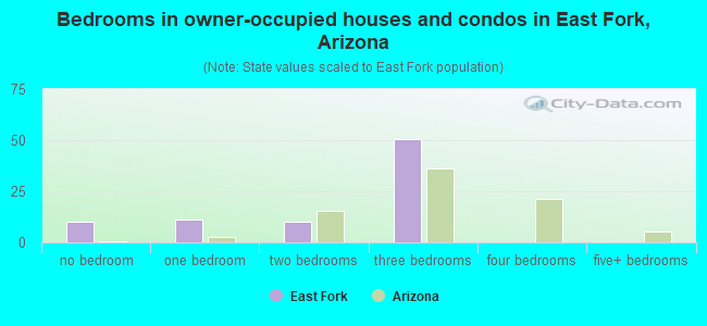 Bedrooms in owner-occupied houses and condos in East Fork, Arizona