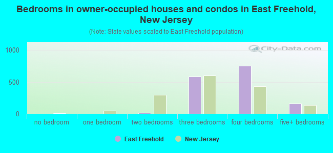 Bedrooms in owner-occupied houses and condos in East Freehold, New Jersey