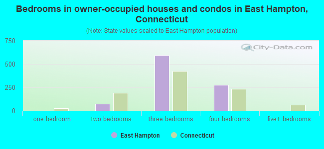 Bedrooms in owner-occupied houses and condos in East Hampton, Connecticut
