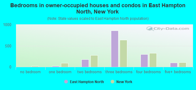 Bedrooms in owner-occupied houses and condos in East Hampton North, New York