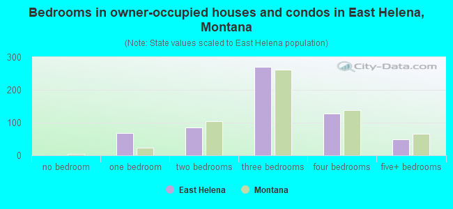 Bedrooms in owner-occupied houses and condos in East Helena, Montana