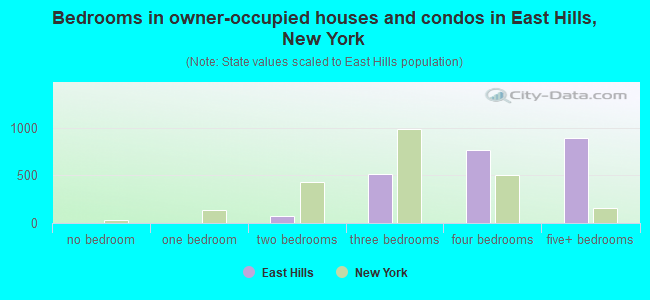 Bedrooms in owner-occupied houses and condos in East Hills, New York