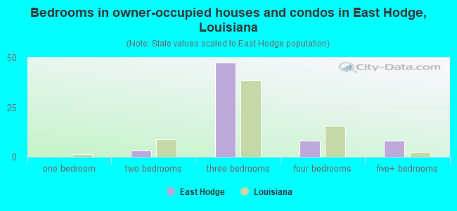 Bedrooms in owner-occupied houses and condos in East Hodge, Louisiana