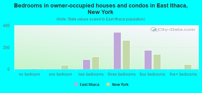 Bedrooms in owner-occupied houses and condos in East Ithaca, New York