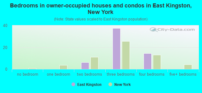 Bedrooms in owner-occupied houses and condos in East Kingston, New York