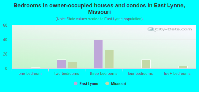 Bedrooms in owner-occupied houses and condos in East Lynne, Missouri