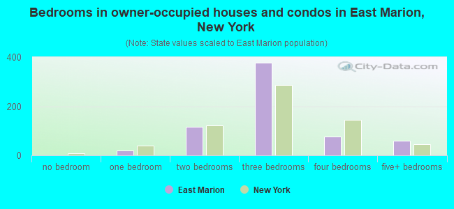 Bedrooms in owner-occupied houses and condos in East Marion, New York