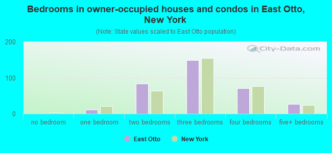 Bedrooms in owner-occupied houses and condos in East Otto, New York