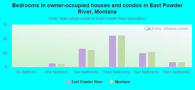 Bedrooms in owner-occupied houses and condos in East Powder River, Montana