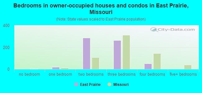 Bedrooms in owner-occupied houses and condos in East Prairie, Missouri