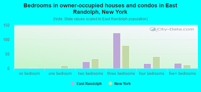 Bedrooms in owner-occupied houses and condos in East Randolph, New York