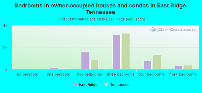 Bedrooms in owner-occupied houses and condos in East Ridge, Tennessee