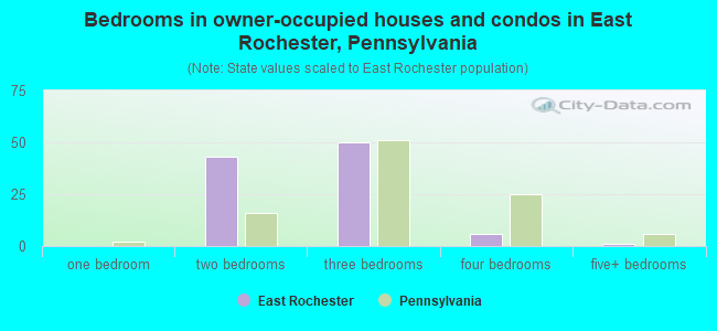 Bedrooms in owner-occupied houses and condos in East Rochester, Pennsylvania