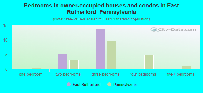 Bedrooms in owner-occupied houses and condos in East Rutherford, Pennsylvania
