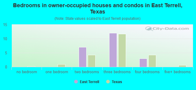 Bedrooms in owner-occupied houses and condos in East Terrell, Texas
