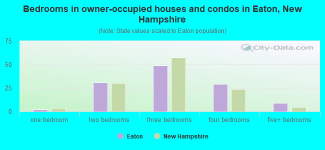 Bedrooms in owner-occupied houses and condos in Eaton, New Hampshire