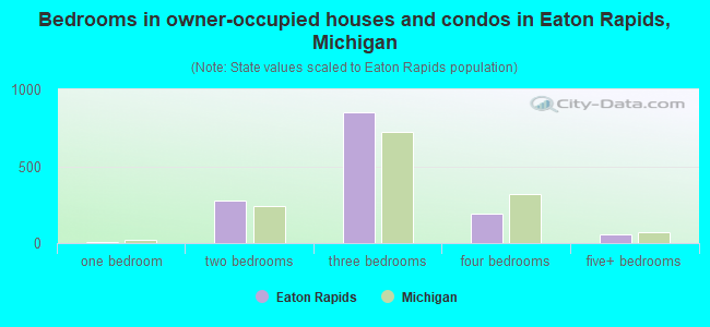 Bedrooms in owner-occupied houses and condos in Eaton Rapids, Michigan