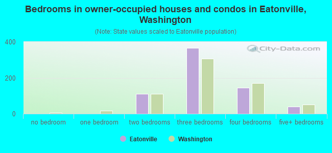 Bedrooms in owner-occupied houses and condos in Eatonville, Washington