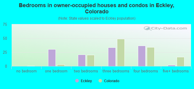 Bedrooms in owner-occupied houses and condos in Eckley, Colorado