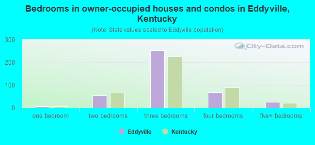 Bedrooms in owner-occupied houses and condos in Eddyville, Kentucky