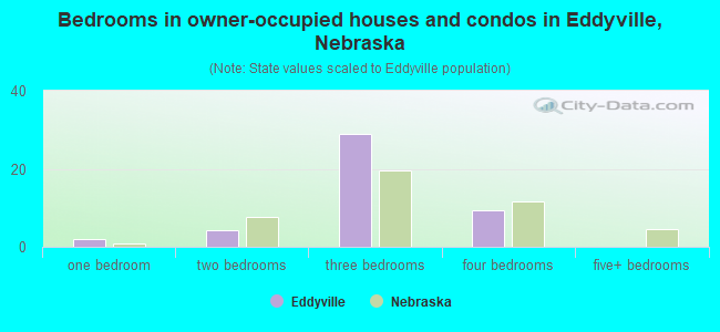 Bedrooms in owner-occupied houses and condos in Eddyville, Nebraska