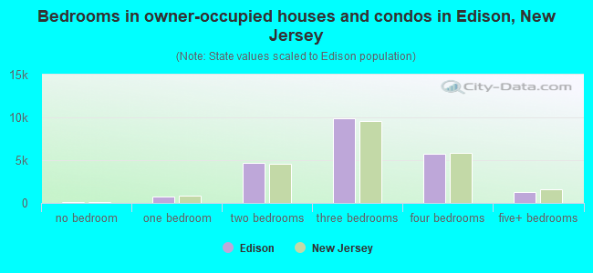 Bedrooms in owner-occupied houses and condos in Edison, New Jersey