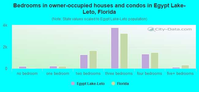 Bedrooms in owner-occupied houses and condos in Egypt Lake-Leto, Florida