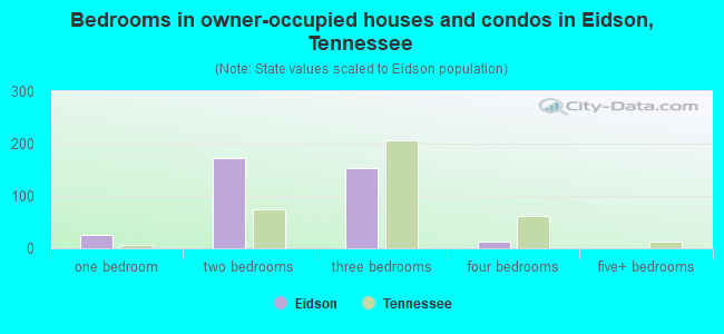 Bedrooms in owner-occupied houses and condos in Eidson, Tennessee