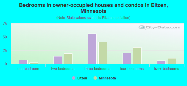 Bedrooms in owner-occupied houses and condos in Eitzen, Minnesota
