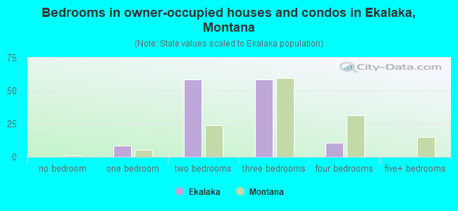 Bedrooms in owner-occupied houses and condos in Ekalaka, Montana