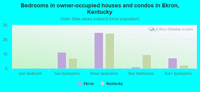 Bedrooms in owner-occupied houses and condos in Ekron, Kentucky