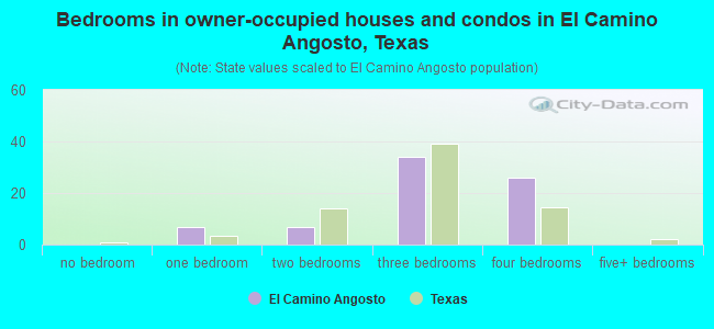Bedrooms in owner-occupied houses and condos in El Camino Angosto, Texas